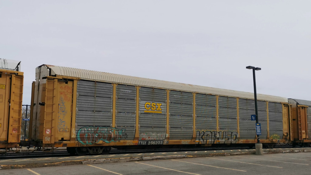 CSX B3244 (Body) TTGX 256203 (Flat)